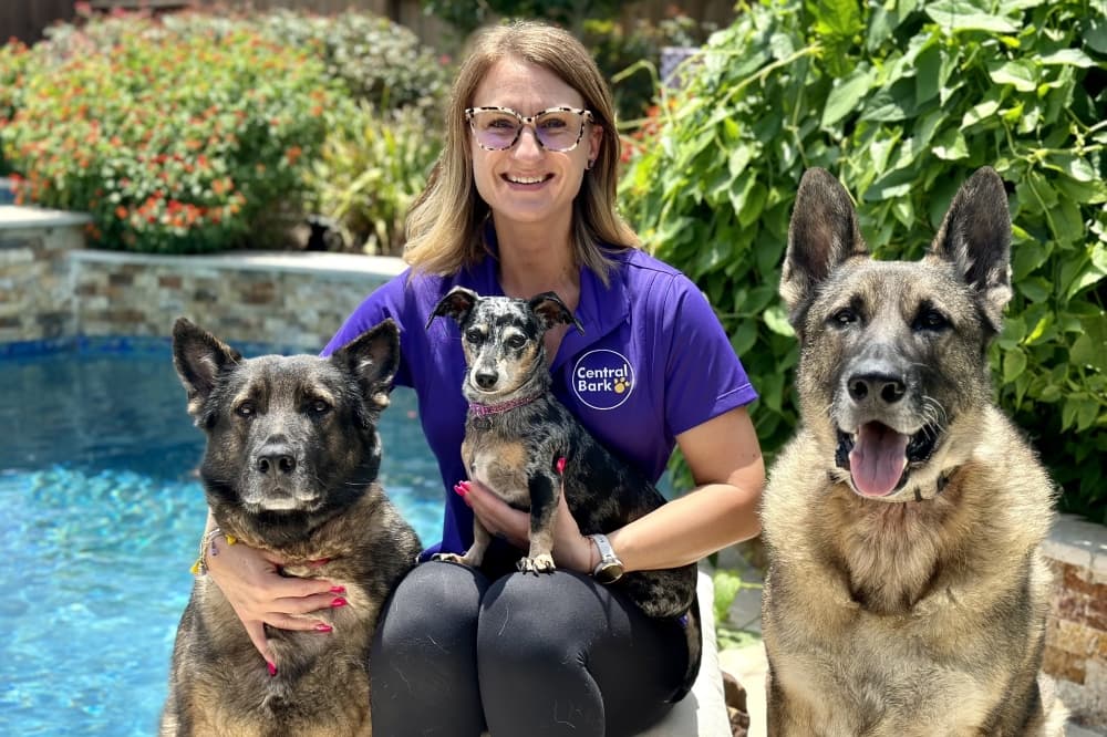 Central Bark The Woodlands open and providing dog day care