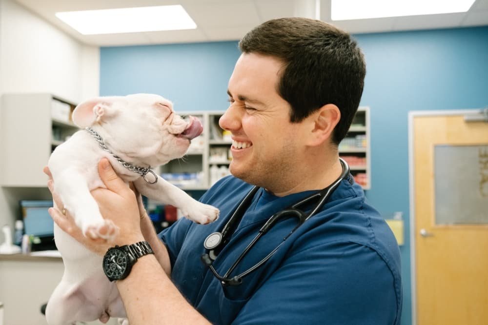 CityVet now open in Universal City