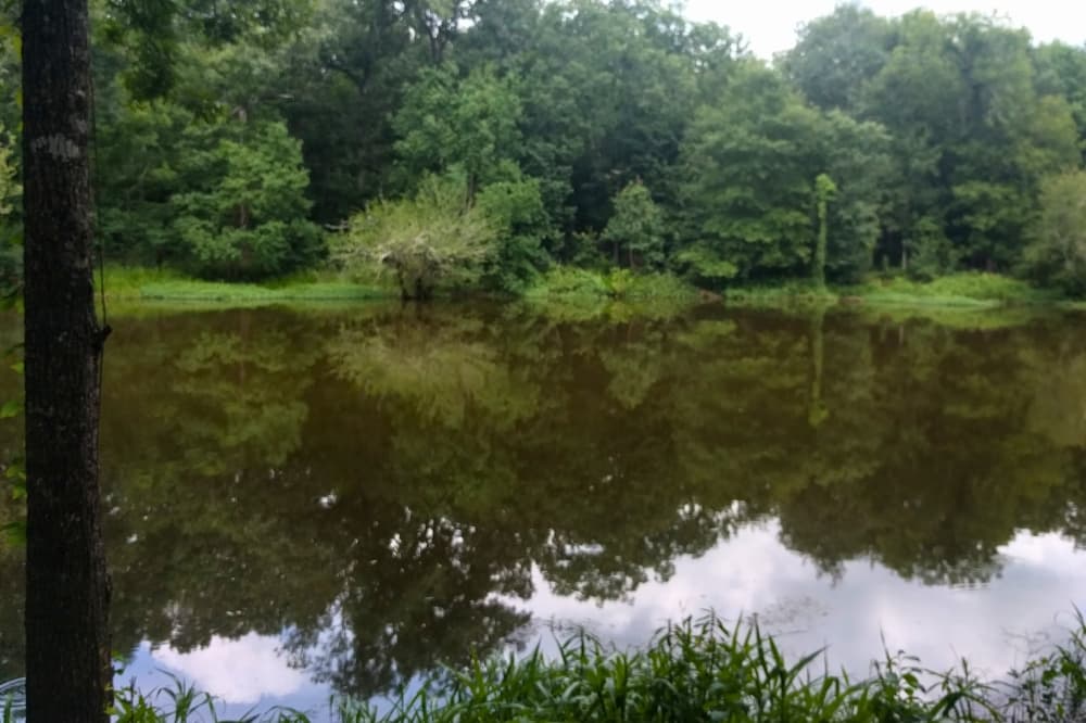 Bayou Land Conservancy reaches conservation agreement with Tranquility Ranch