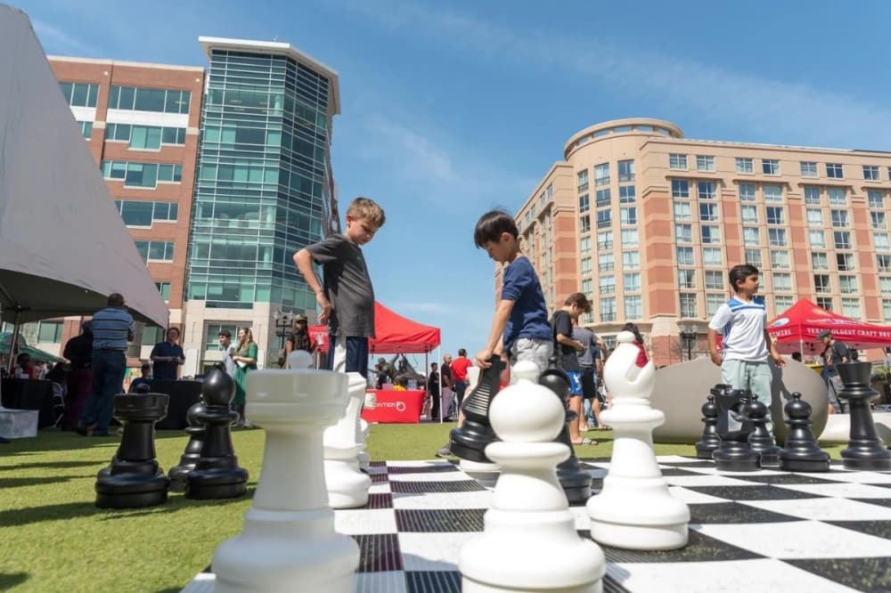chess fest sugar land