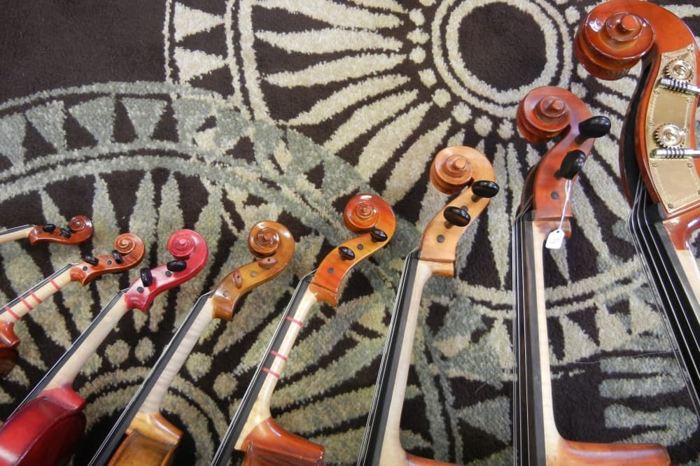 The scrolls of stringed instruments are shown from smallest to largest.
