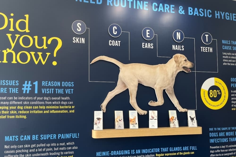 Colleyville council approves special-use permit for Scenthound