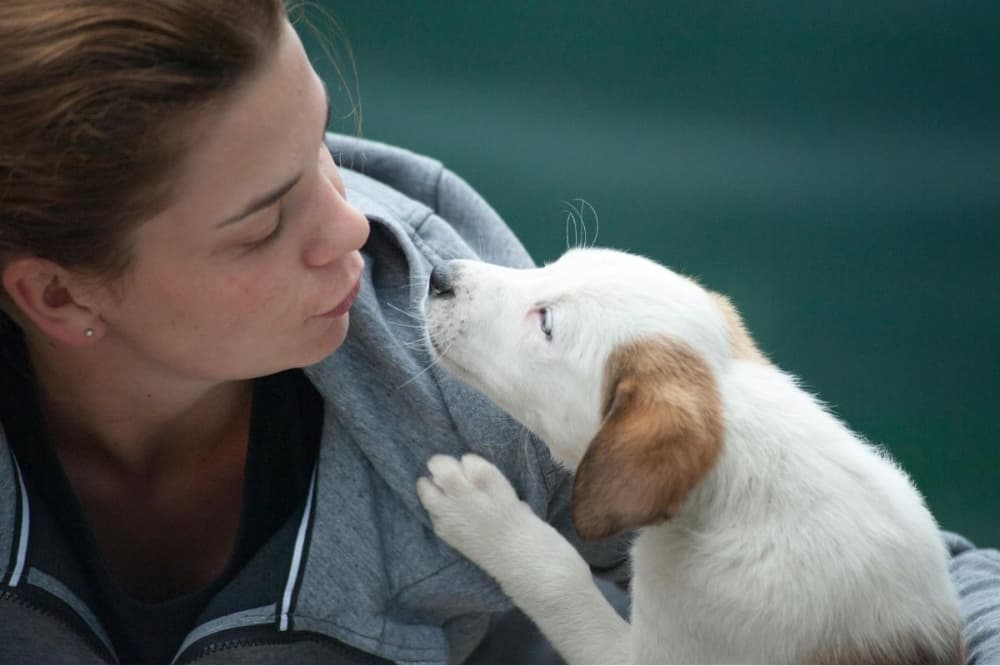 Pet Evolution Katy to offer grooming, treats, mobile nail trims