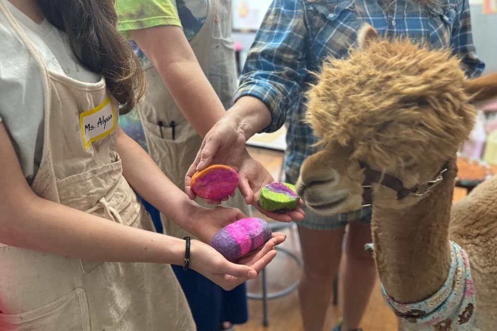 3 events to attend in McKinney this weekend, June 22-23