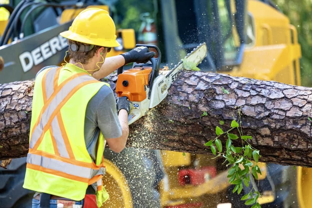 Conroe City Council extends Hurricane Beryl disaster declaration