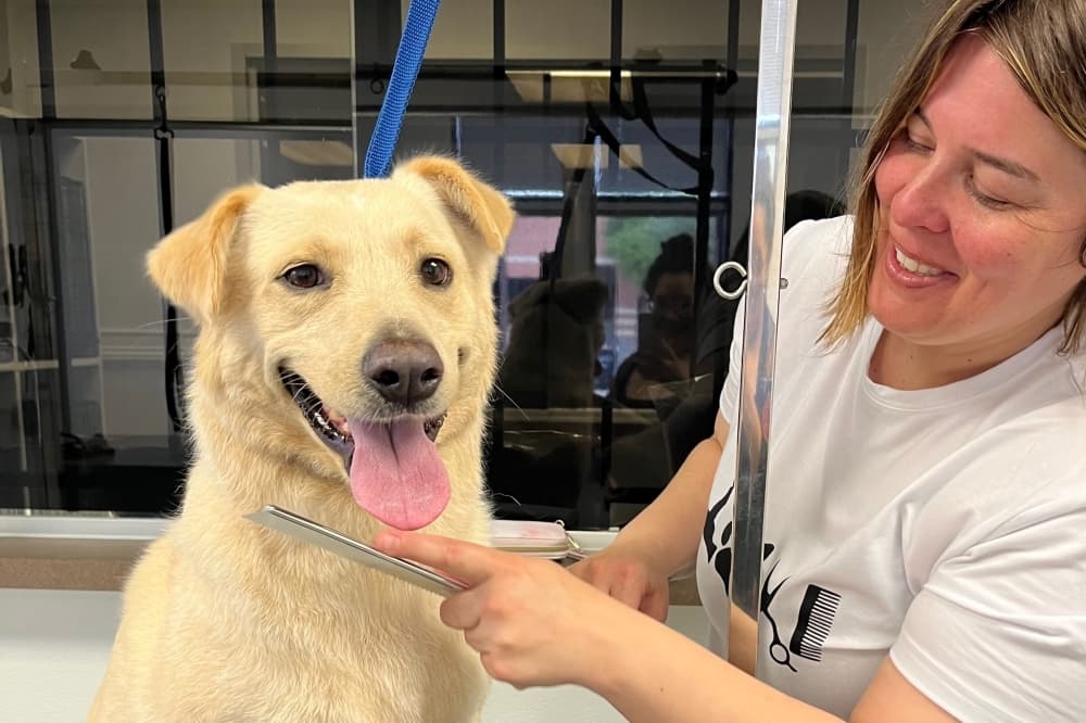 Norma PetSpaw to offer holistic dog grooming in Missouri City