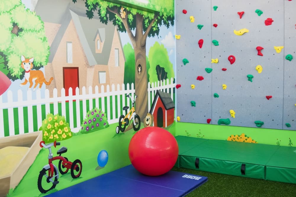 Collaborative team approach at Pediatrics Plus empowers children with developmental disabilities