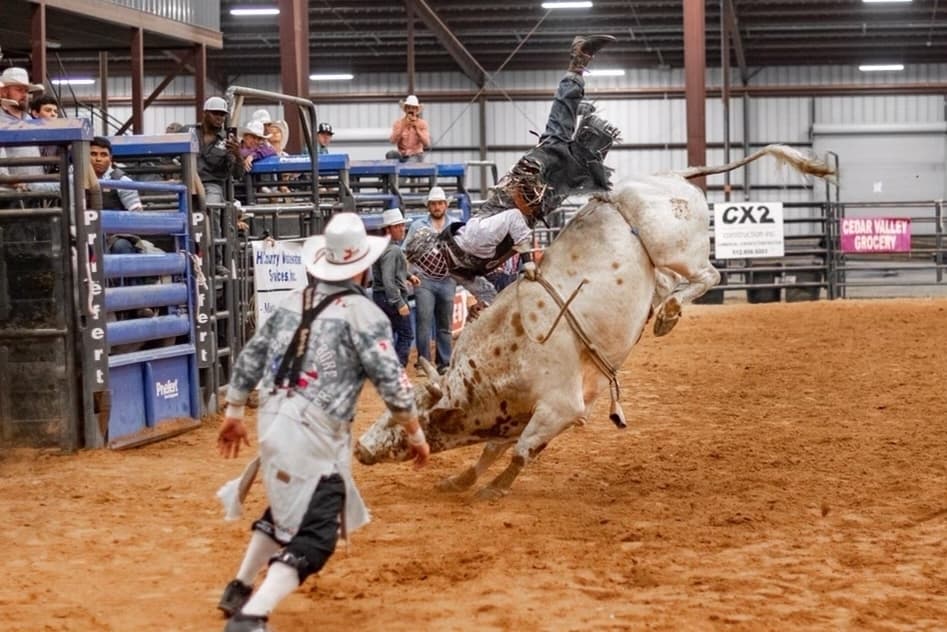 Bull riding and live music to fill Mayfest Park on Sept. 14