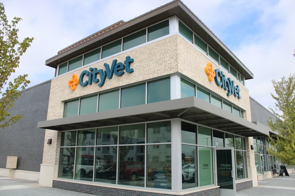 CityVet to offer vet services in east Frisco