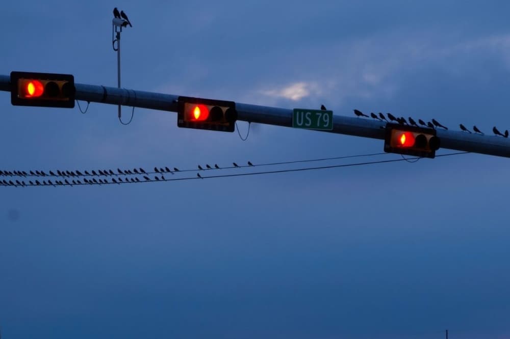 Hutto to reduce speed limit on Hwy. 79