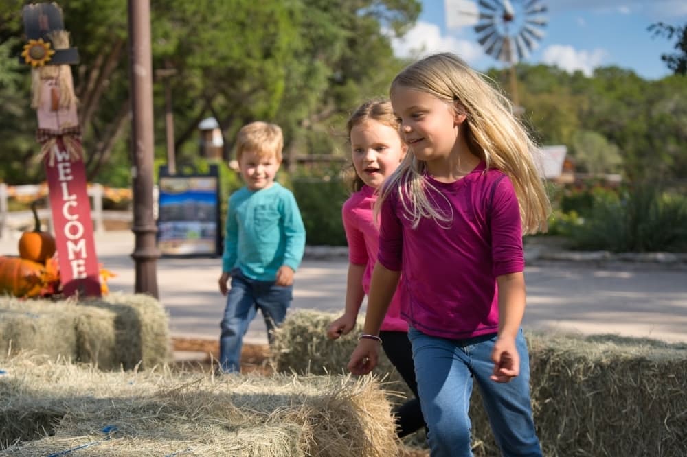 12 events to attend in the San Antonio-New Braunfels area, Oct. 18-21
