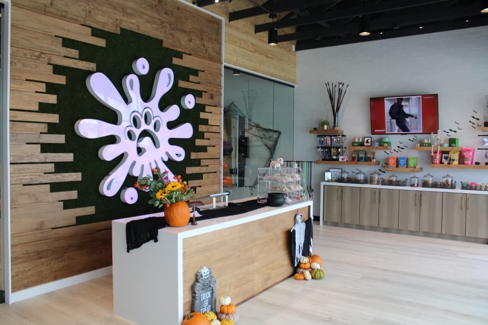 Paw Splash offers grooming services in Prosper