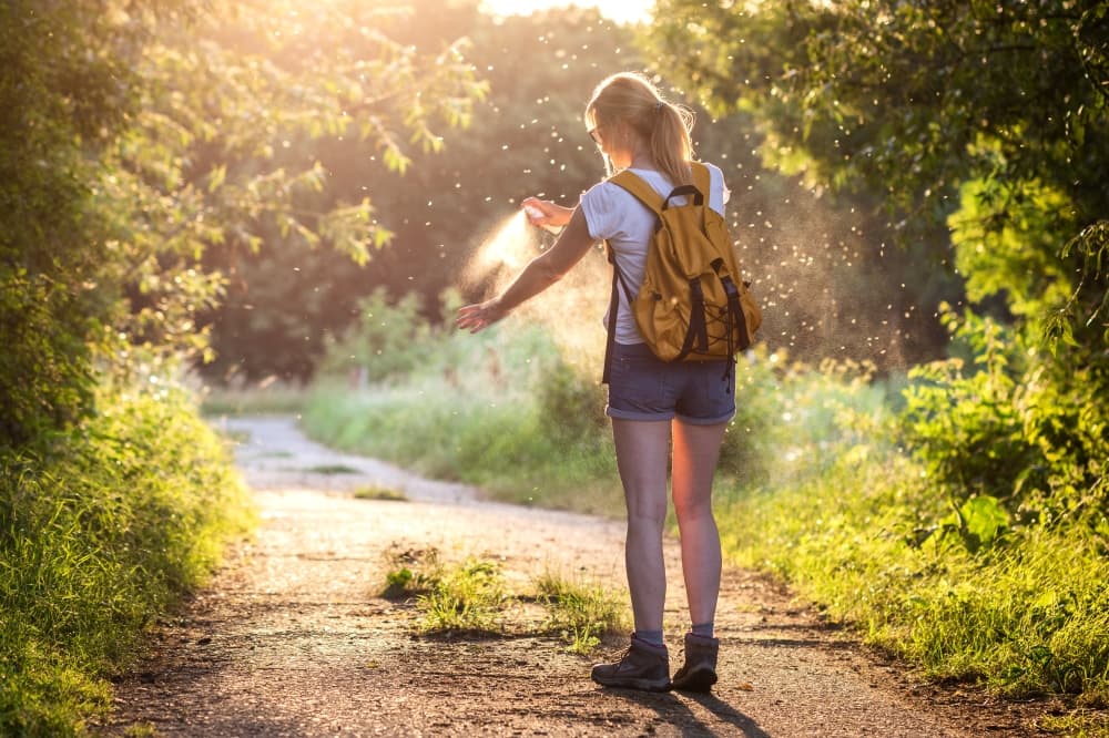 What McKinney residents need to know as ‘mosquito season’ ends this fall