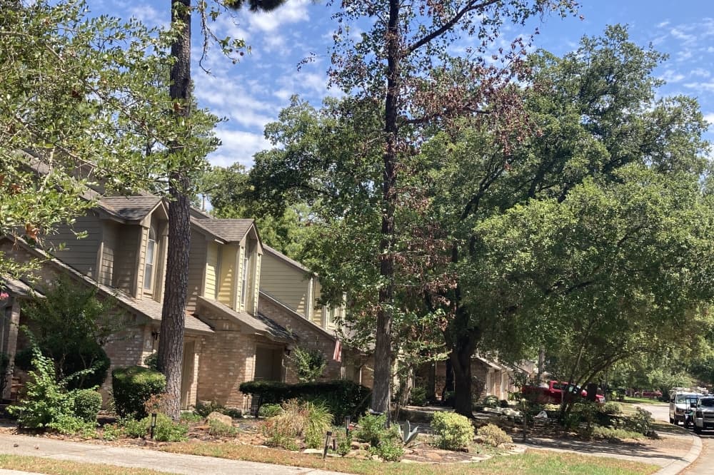 Home sales in The Woodlands more than doubled in 1 ZIP code in October