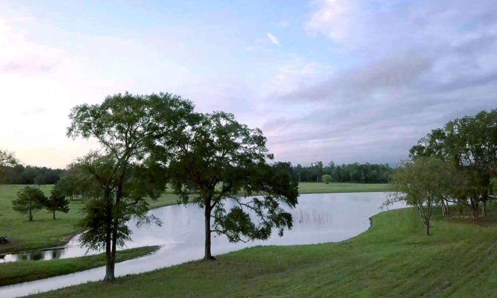 GR Property Group combines luxury real estate experience with rural charm in Montgomery, Walker counties