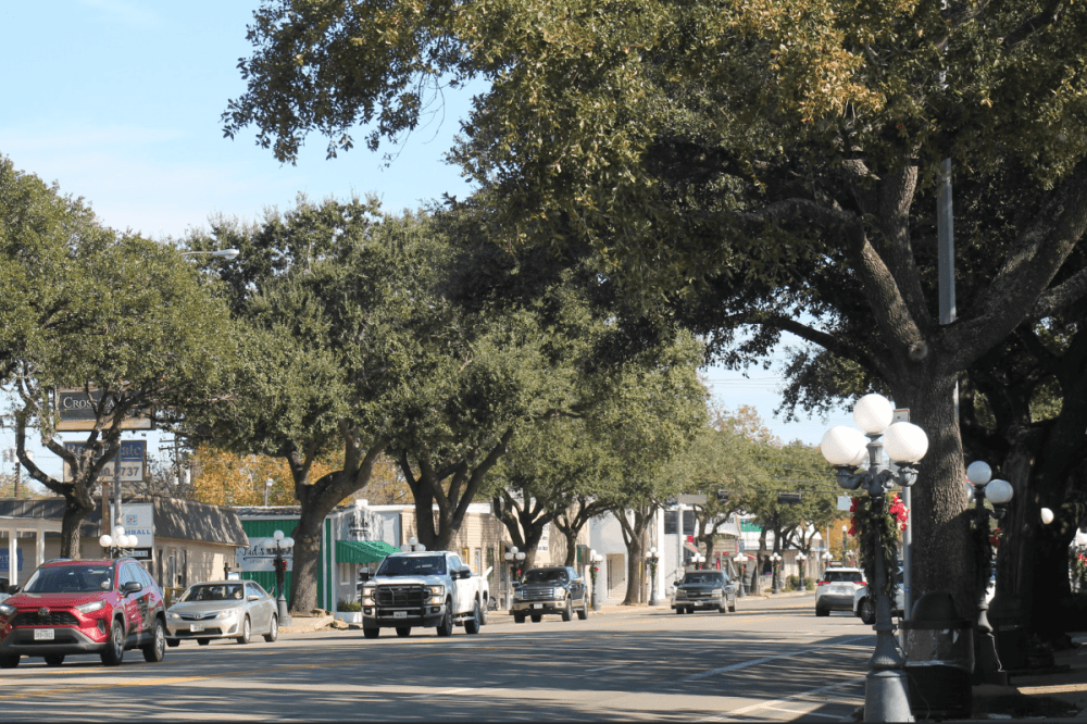 Check out 5 events to attend in Tomball, Magnolia Jan. 16-18