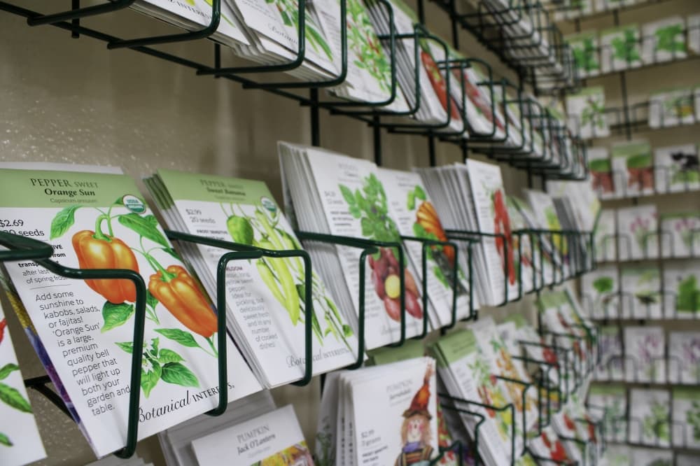 An image of the seeds sold at the business.