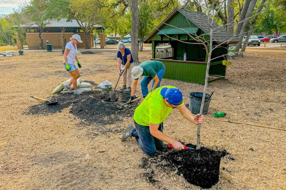 Tree project targets economic, social gains