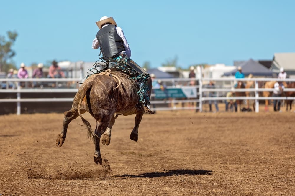 Bull riding rodeo, car smash: 4 events to attend in New Caney, Porter this weekend, March 28-30