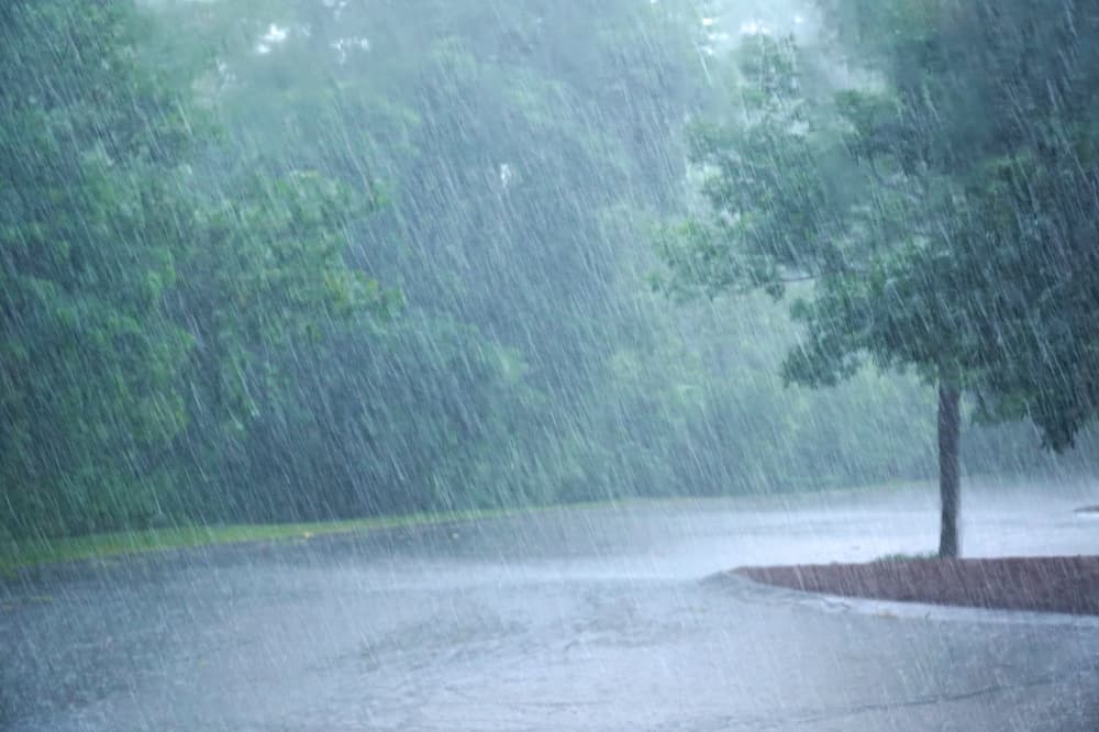 Good Oil Days Festival in Humble rescheduled due to rain forecast