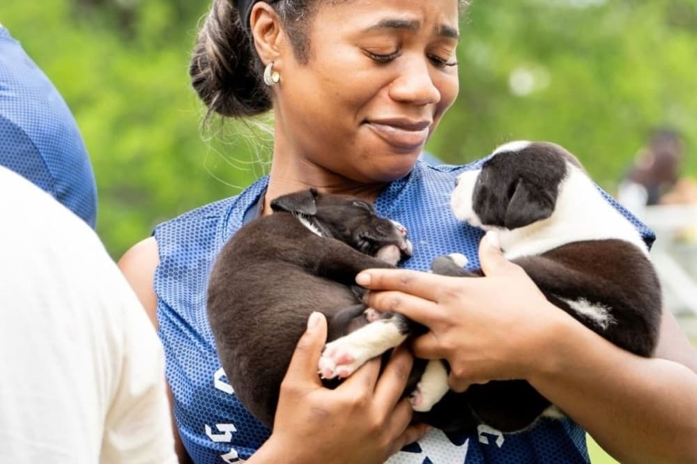 Three Little Pitties Rescue in Friendswood saves thousands of pets each year