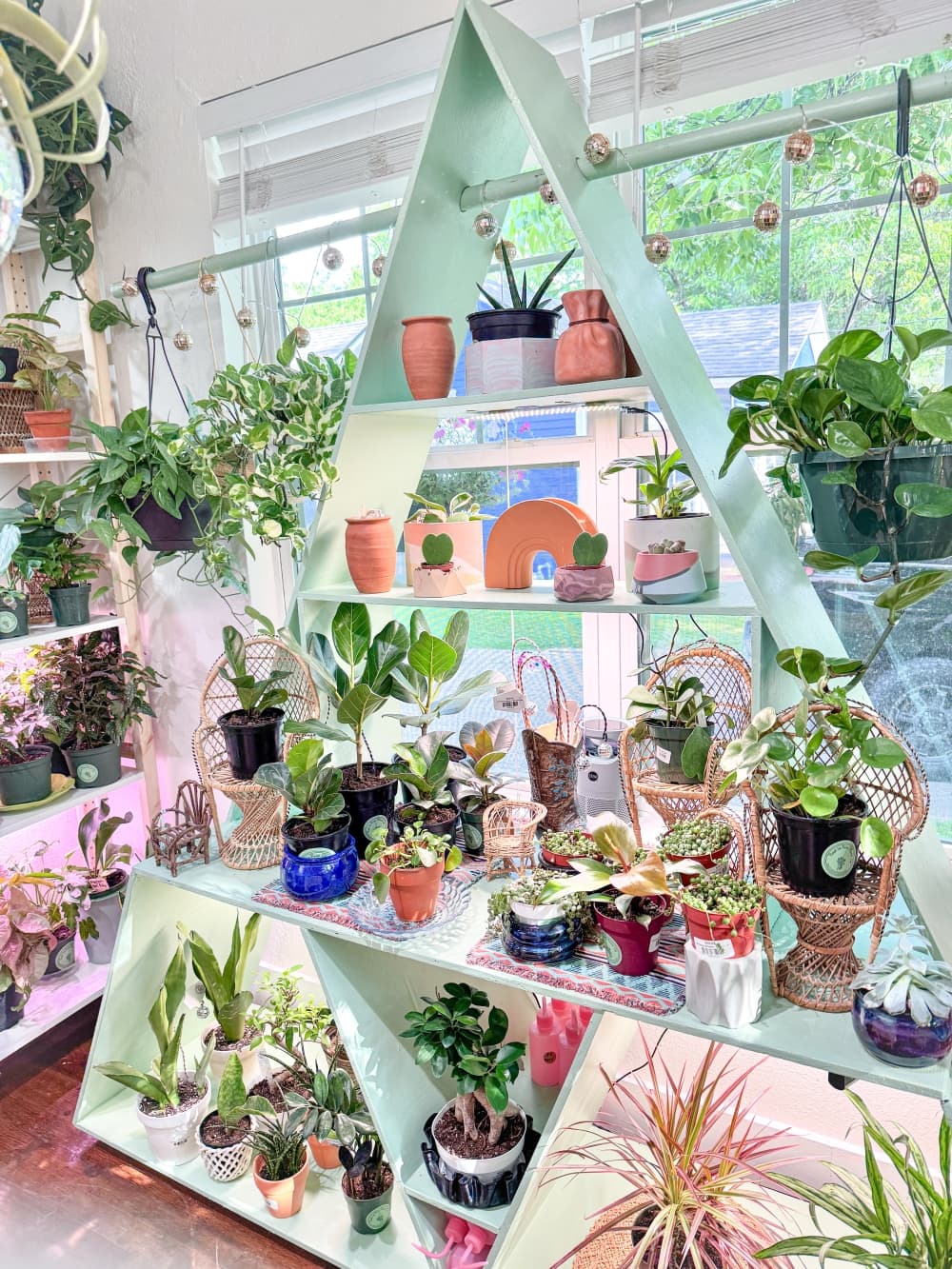 An image of the plants at the business.