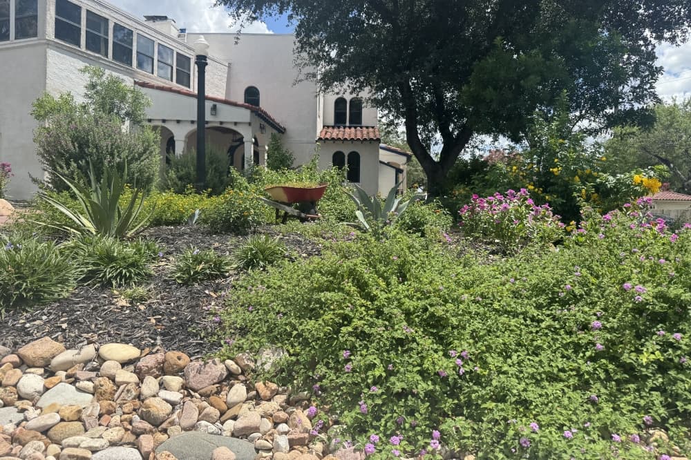 How cultivating local plants can help San Antonio residents save water