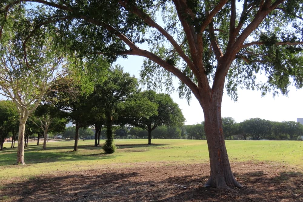 Bruce Glasscock community park coming soon to Legacy West