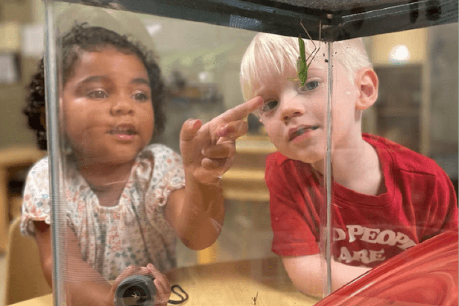 Children learn without limits at Ivybrook Academy: Now open in The Woodlands