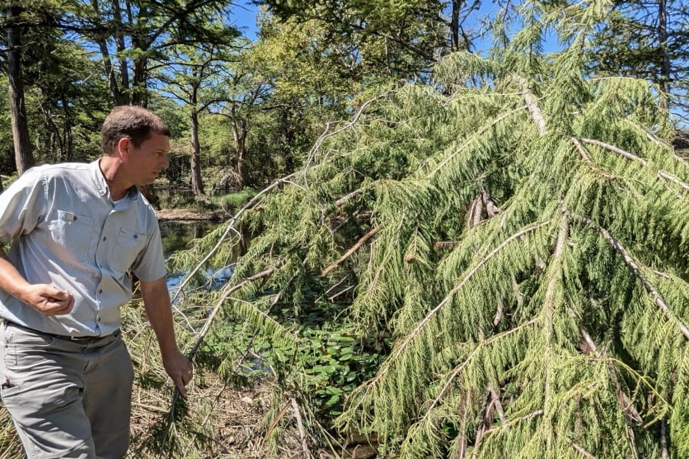 San Antonio Botanical Garden launches initiative to rehabilitate hill country ecosystem