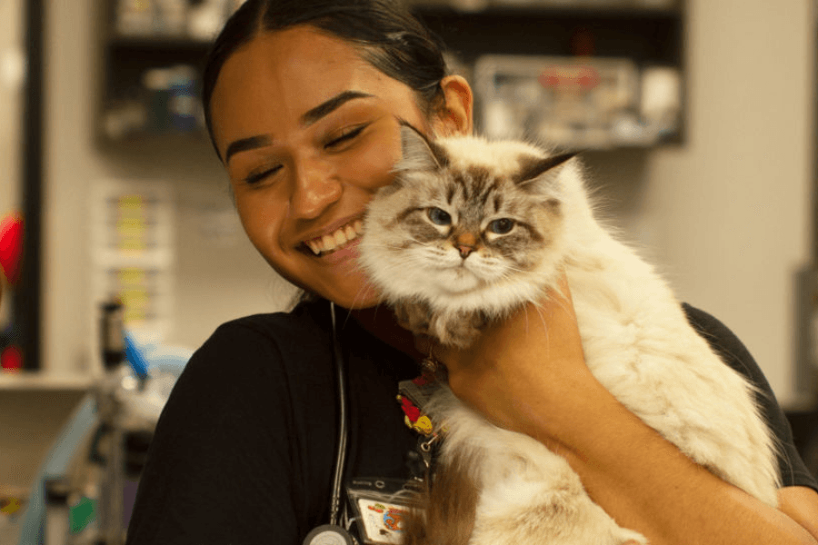 Pets get personalized care from the first exam on: How this 24/7 Houston clinic supports pets, their people
