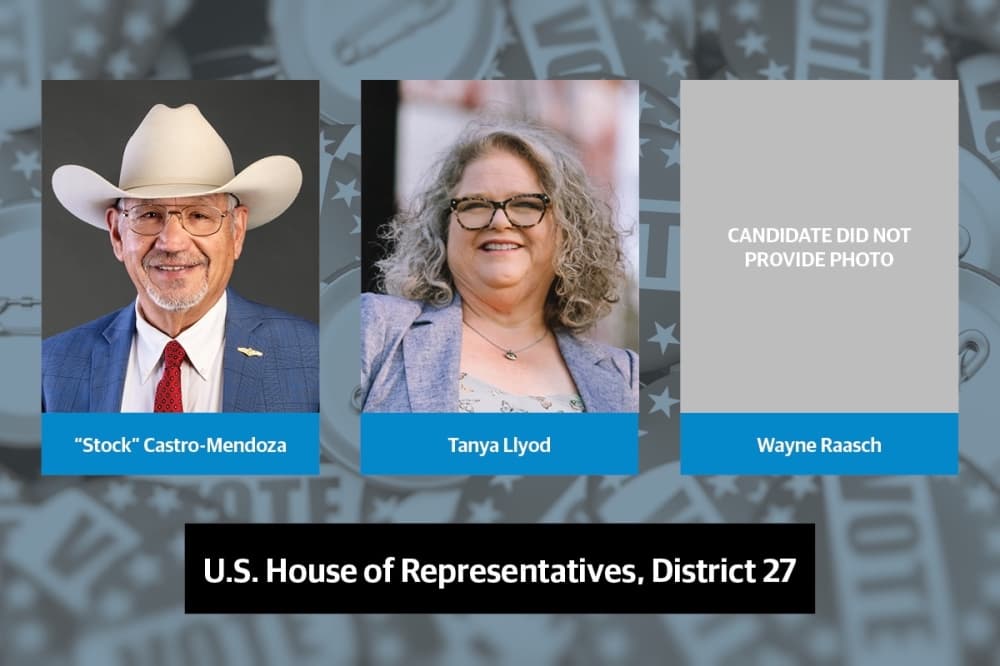 Q&A: Meet the Democratic candidates for U.S. House of Representatives, District 27