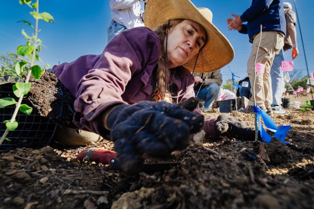 St. Edward's University partners with H-E-B to plant first Central Texas Tiny Forest