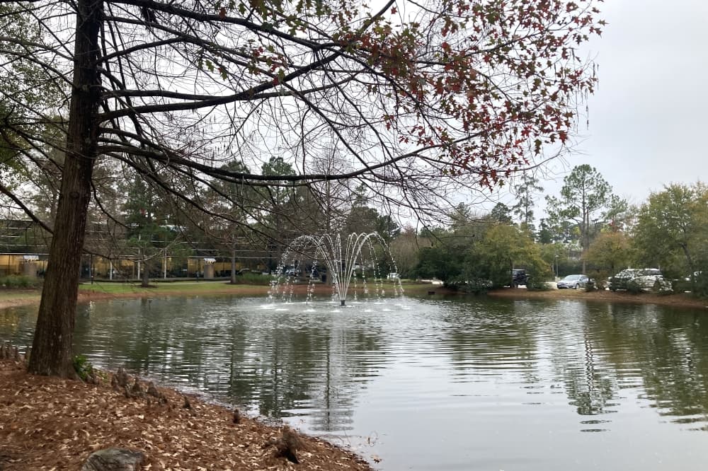 Study: The Woodlands could support 2 more hotels