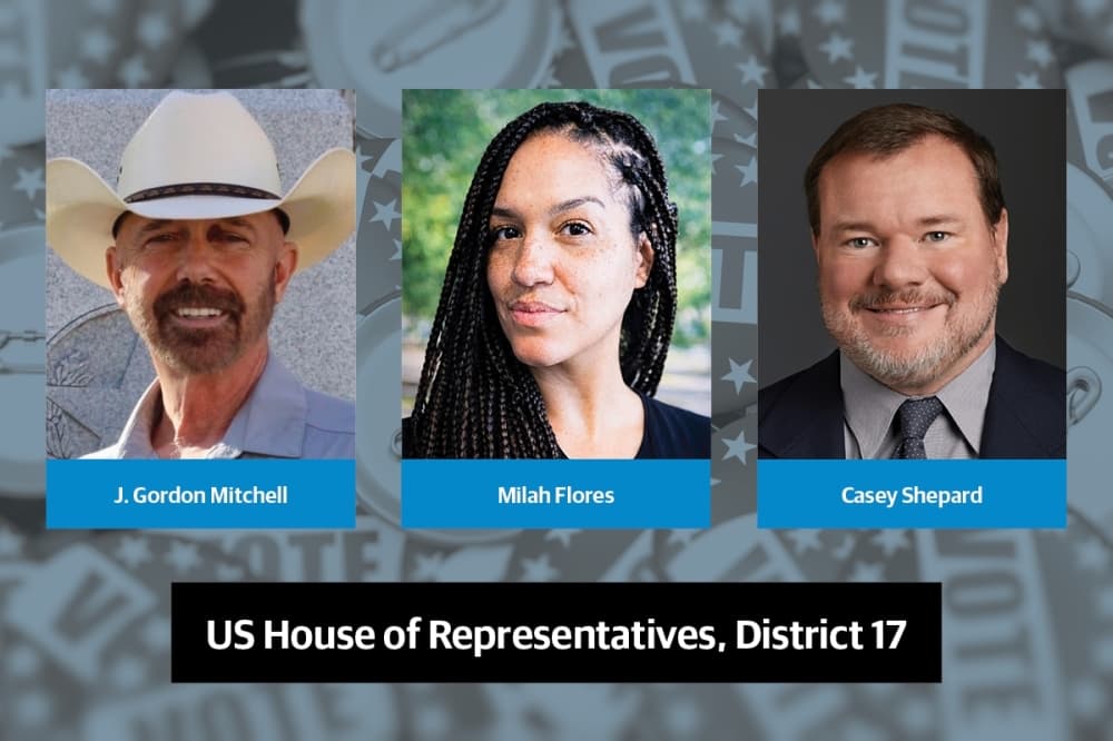 Q&A: Get to know the Democratic candidates for US House of Representatives District 17
