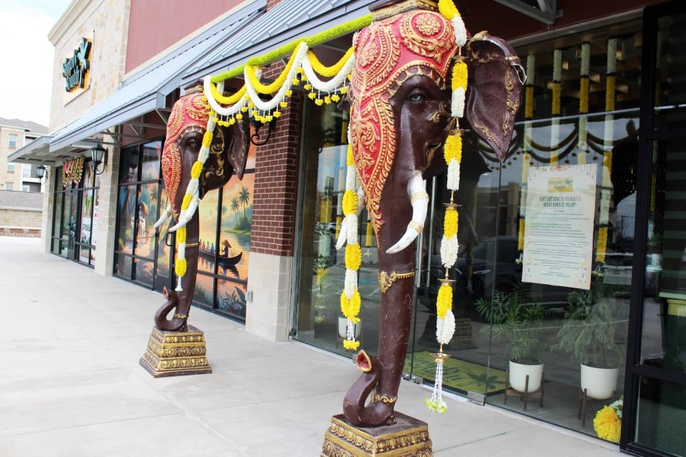Simply South serves Indian vegetarian cuisine in McKinney