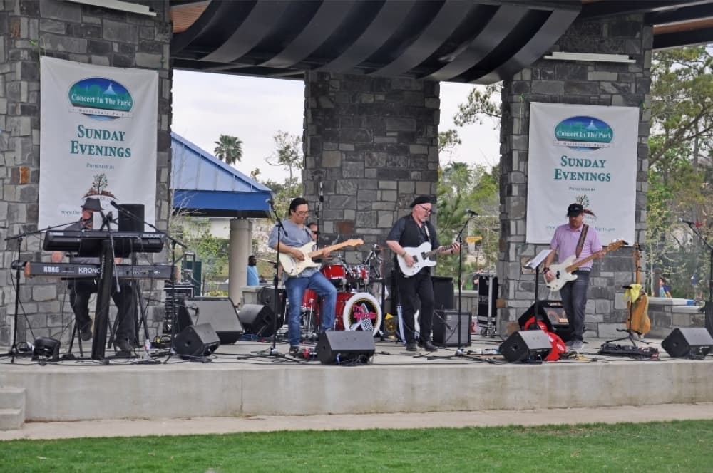 Live music, residential voting: 6 things to do in The Woodlands this weekend, Feb. 20-22