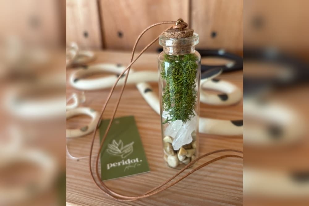 Peridot Plant Co. to bring botanical shop to East McKinney