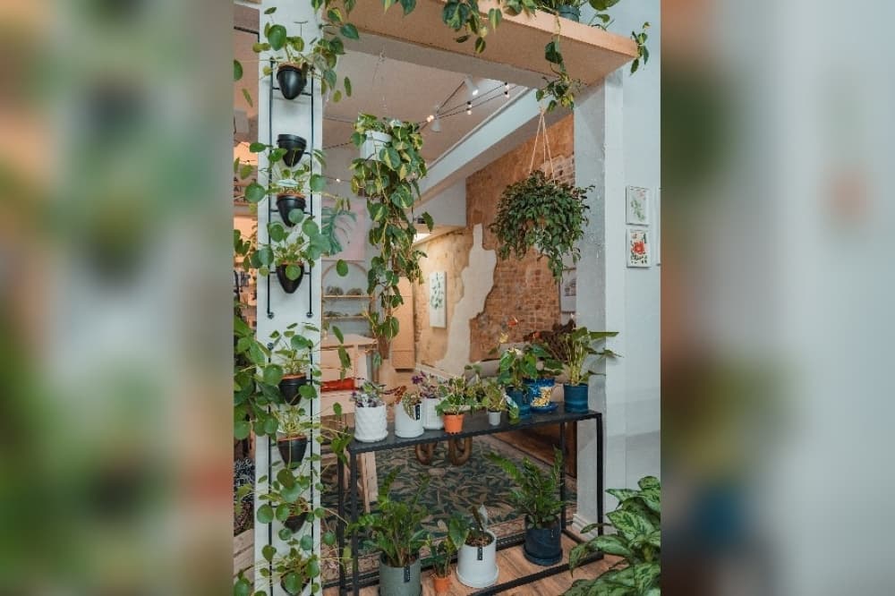Habitat Plants + Coffee expands downtown McKinney shop