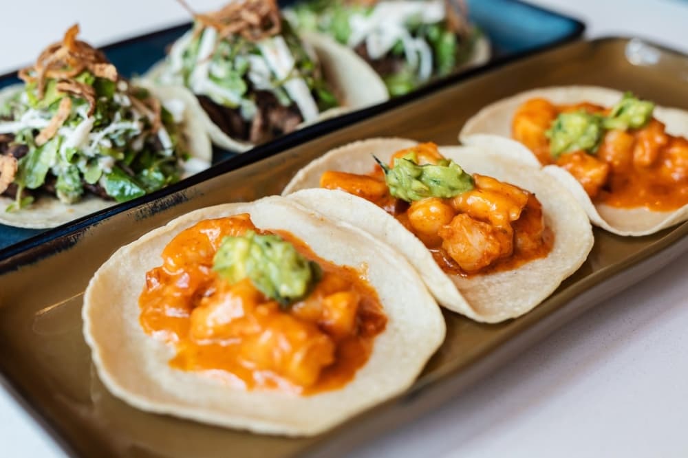 Mexican Bar Company to bring ceviche, street tacos to Allen