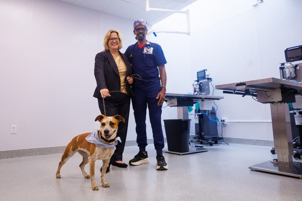 Houston Humane Society opens 10,000-square-foot veterinary clinic, expand capacity by 30%