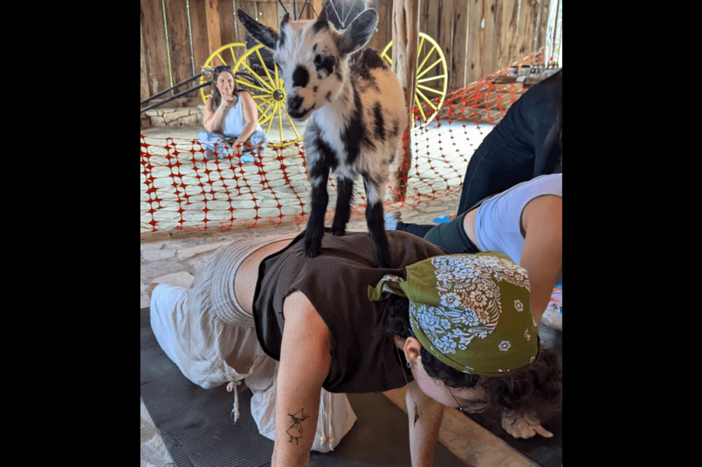 Check out 10 events across Boerne and Fair Oaks Ranch this May
