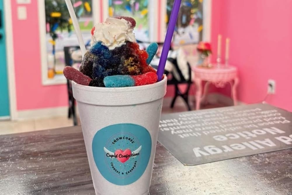 Ice cream shops, snow cone stands: 5 frozen treat businesses with updates to share in New Caney, Porter