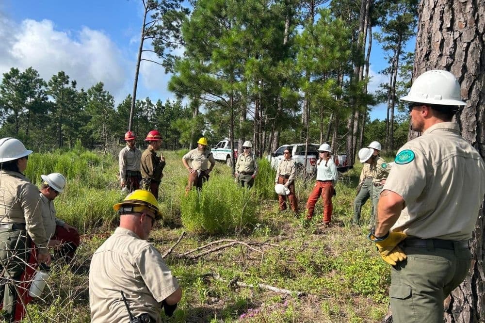 Burn ban lifted in unincorporated Bastrop County after nearly 90 days