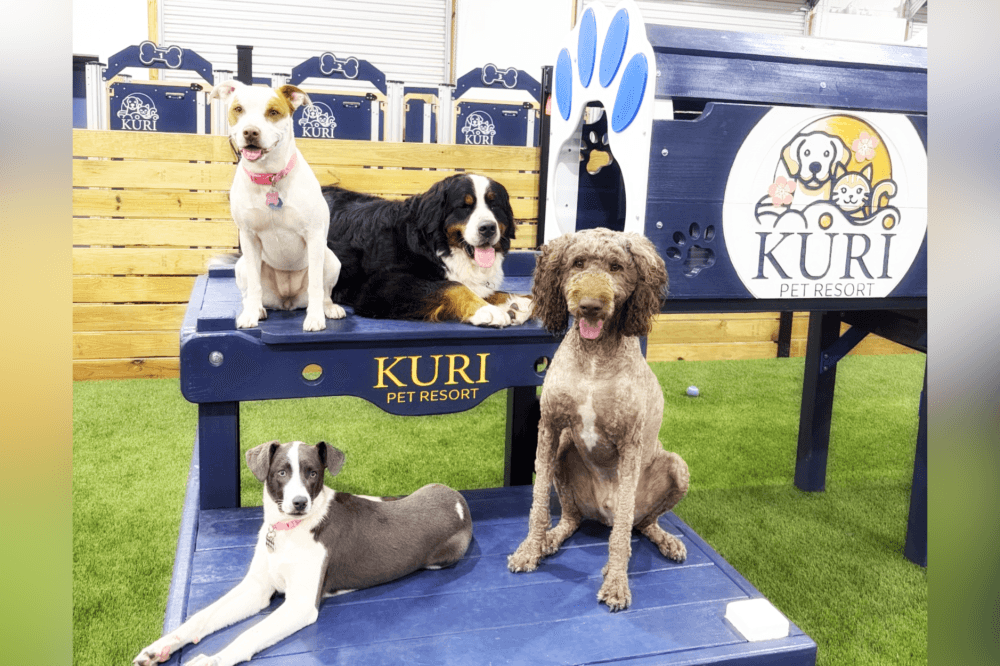 Inside Kuri Pet Resort: The new San Marcos spot pets don’t want to leave