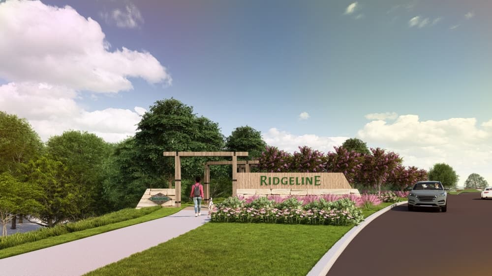 Ridgeline entry rendering