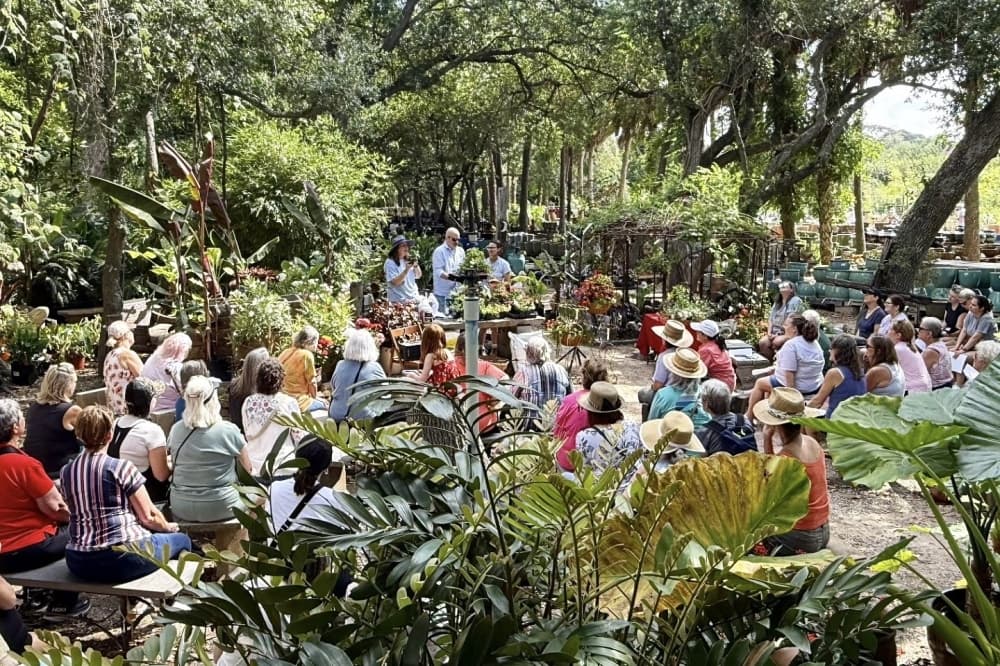 Seabrook nursery celebrates 75th anniversary
