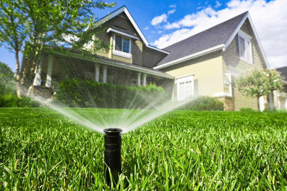 Save water, money with these lawn irrigation tips from Austin Water