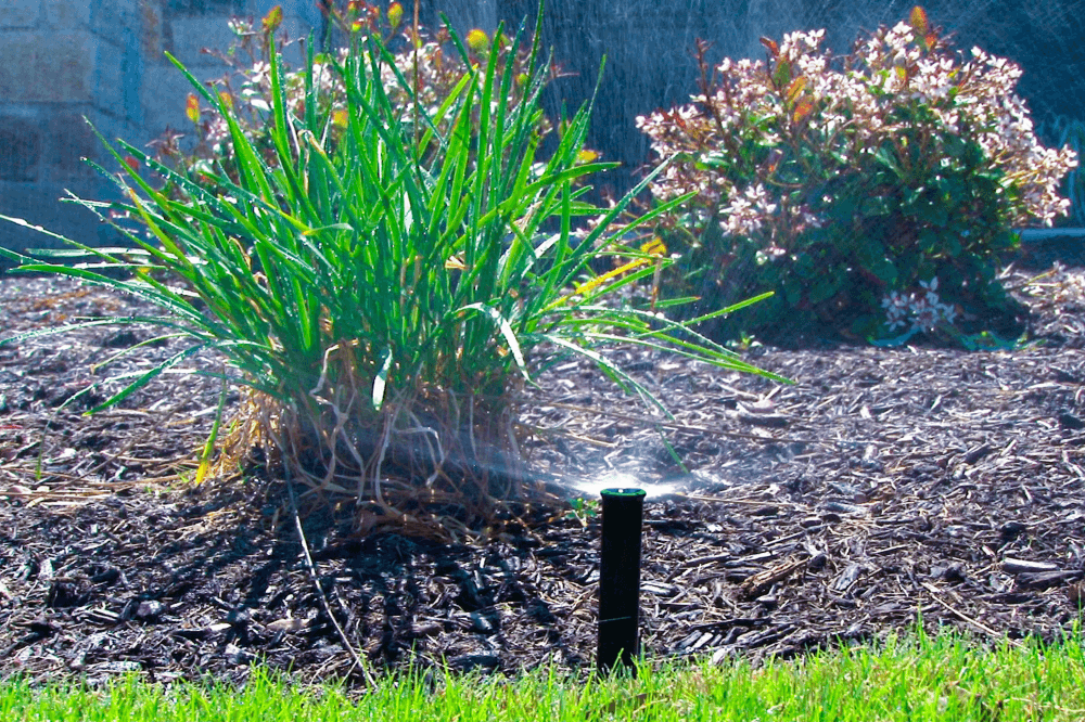 sprinkler running in yard