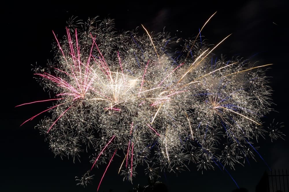 Liberty on the Lawn, Elvis Tribute: 12 Lake Houston-area events to attend this summer